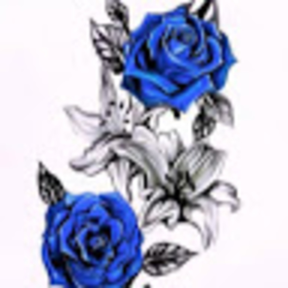 Meet your Posher, Lil